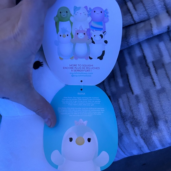 NWT Squishmallow Raina the Penguin Hug Mee 10” Plush - Picture 3 of 3